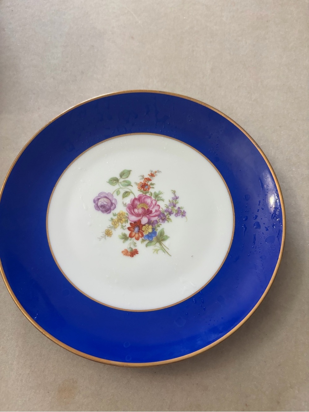 Vintage Western Germany dinner plate